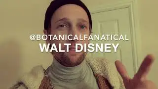 INNOVATION: WALT DISNEY TECHNIQUE