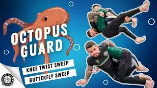 Octopus Guard | Entry from Knee Shield | Knee Twist | Butterfly Sweep
