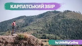 КАРПАТСЬКИЙ ЗБІР ВЖЕ НЕ ТОЙ? | Гравійний кемп в Карпатах
