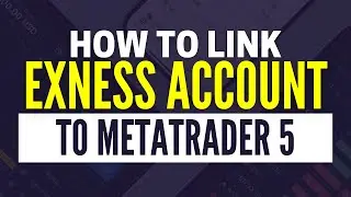 How To Connect Exness to MT5 (2024)