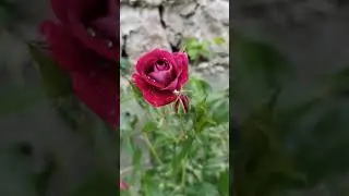 Хочеться простого людського жити без війни!
