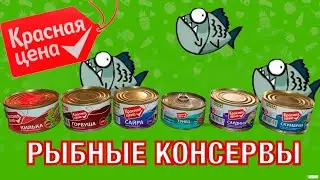 РЫБНЫЕ КОНСЕРВЫ КРАСНАЯ ЦЕНА | ВЫРУЧИТ ЛИ НАС ПЯТЁРОЧКА? | СТМ ЕДА | ПОЛЕЗНЫЙ ОБЗОР | МОЖНО ЛИ БРАТЬ