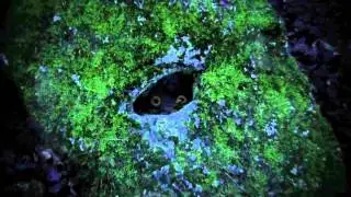 Agios o Baphomet - Sinister Chant of the O9A | Noctyr Wyrd | 2011