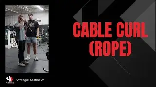 Cable Bicep Curl (Rope) - Exercise Index