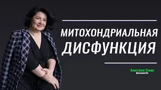 Митохондриальная дисфункция. Причины и симптомы.