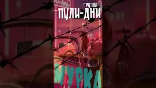 Группа Пули Дни   Мурка