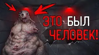 ОНИ СКРЕЩИВАЮТ ЛЮДЕЙ С ЖИВОТНЫМИ | РАЗБОР Happy Meat Farm | ARG