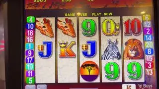 Exploring Old Slot Machines with Big Wins #slots #casino