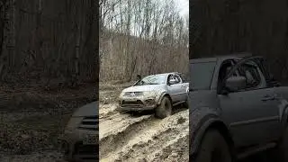 IMG 3528