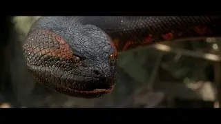 Dünyanın En İlginç Yılan Türleri Ve Özellikleri