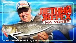 Жерех на топвотер! Первая рыбалка на Zip Baits Fakie Dog! 