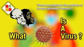 What is a Virus? | Difference between virus and bacteria, Treatment for virus infection, in English.