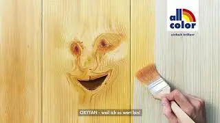 Facial Animation - Gesichtsanimation für „all-color F. Windisch GmbH“