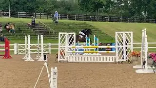 Evron - double clear Discovery Hartpury. Retraining Of a Racehorse ROR