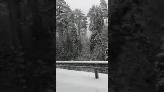 Дорога на работу! Немного зимы)