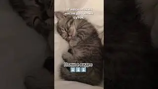 Люди засыпают на ходу 🌝
