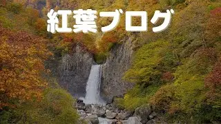 紅葉レポート ブログ#2