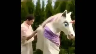 Eric Andre show Horse