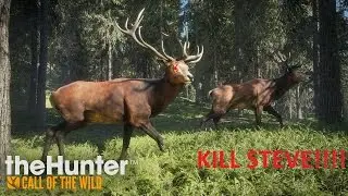 The Great Deer Massacre of 2017