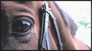 THE EQUESTRIAN ▶