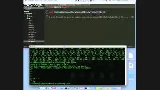 Uncommon Python