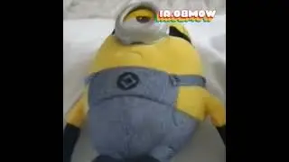 3 Kasım 2022(1)