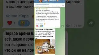 Новоиспеченный муж в шоке. Анекдот