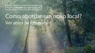 Fotografia de NATUREZA | Como abordar um novo local? | Um novo bosque
