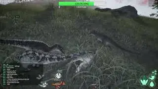 Omnis vs Pachys Horde Test Twitch Stream Highlights 1