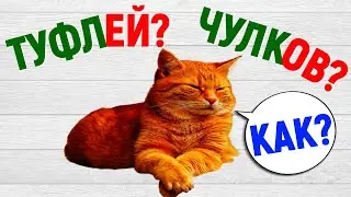 У рыб нет зуб? Туфлей? Чулков? Как правильно? Знаете? | тест 