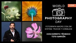Spanish | Fotografia macro con OM SYSTEM: trucos y consejos