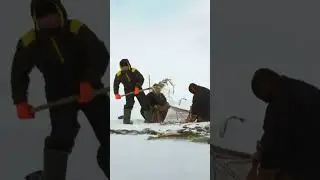 📍Жизнь рыбаков. Рыбный промысел Карского моря 