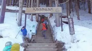 Jigokudani | Snow Monkey Park | NAGANO | Парк снежных обезьян