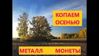 ОСЕННИЙ КОП 2021 ИЩЕМ МОНЕТЫ, ЗАБИРАЕМ МЕТАЛЛ