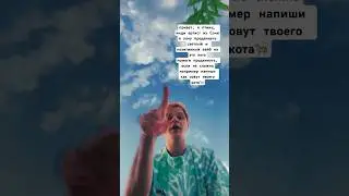 запускаю новую волну русского инди🐦