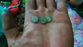 Петровское серебро алтыники чешуя. Выезд 2018.