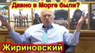 Жириновский Орёт на Всех/Давно в морге были/о короновирусе
