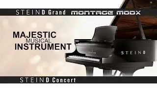 SteinD Grand Piano Library for Yamaha MONTAGE | MODX | MODX+ Presentation