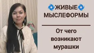 Живые мыслеформы 🌀 От чего возникают мурашки 🌀