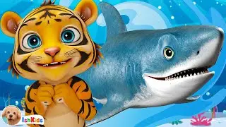 Baby Shark & Tiger | Nursery Rhymes | Baby Songs | IshKids Baby Songs