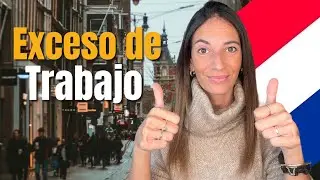 ✅ EN PAÍSES BAJOS buscan EXTRANJEROS para TRABAJAR  🇳🇱