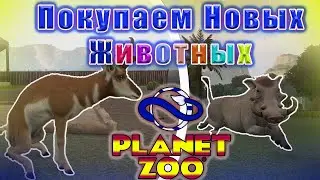 Прохождение Planet Zoo В 2022!