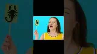 एक लॉलीपॉप में एक मक्खी