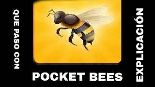 Que paso con pocket bees?