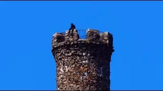 Lil Evo - Castle For My Bitch [Official Music Video]