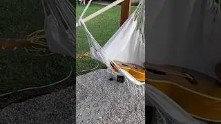 guitars & hammock chairs & sunshine 