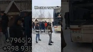Москва Узбекистан Автобус 