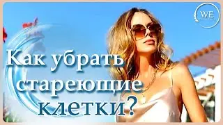 Механизмы старения. Продукты против старения.