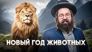 Тайна влияния ЖИВОТНОЙ ДУШИ на Нашу Жизнь // Каббала и Нейроанатомия // Раввин Элияу Гладштейн