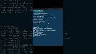 The best way to restart your rails server 🚨 